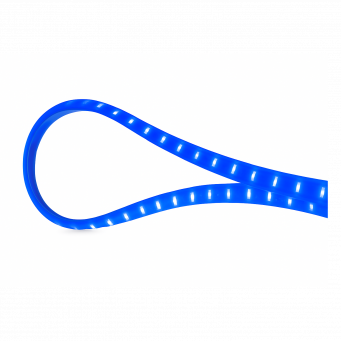 Lighting & Accessories