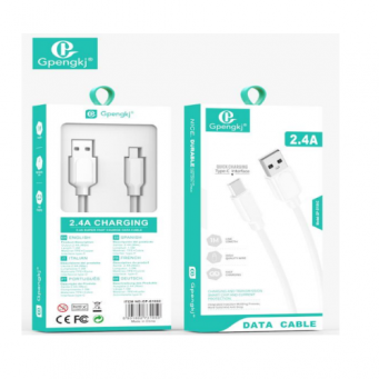 Earphones