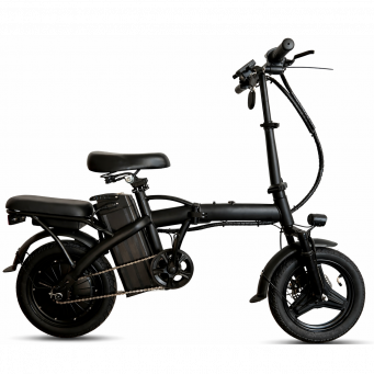 Electric Bikes