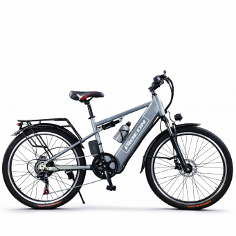 Electric Bikes