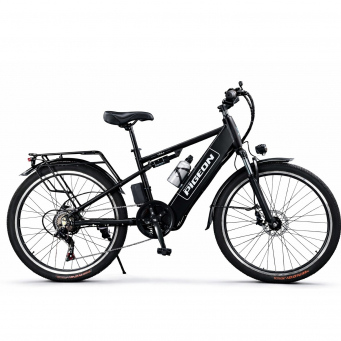 Electric Bikes