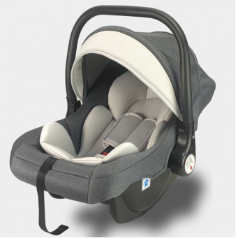Baby Travel Gear