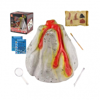 Learning & Development