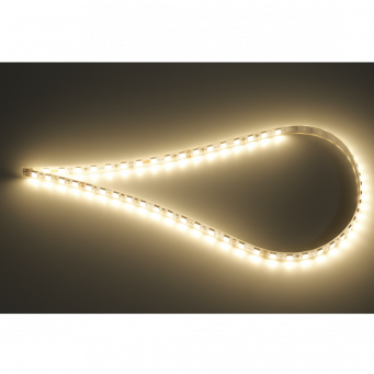 Lighting & Accessories