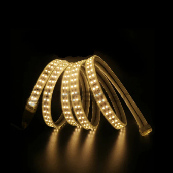 Lighting & Accessories